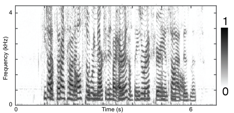 Example of a spectrogram of an audio signal, taken from here.