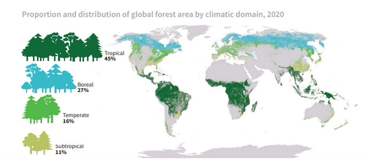 Credit: https://unece.org/forests/boreal-forests